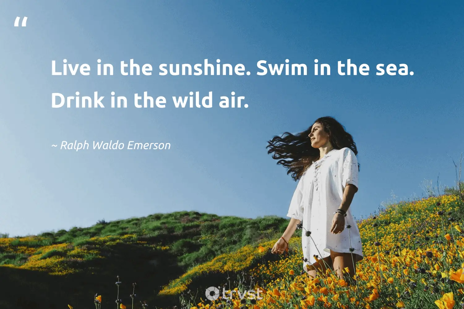 "Live in the sunshine. Swim in the sea. Drink in the wild air." -Ralph Waldo Emerson #trvst #quotes #bethechange #planetearthfirst #wild