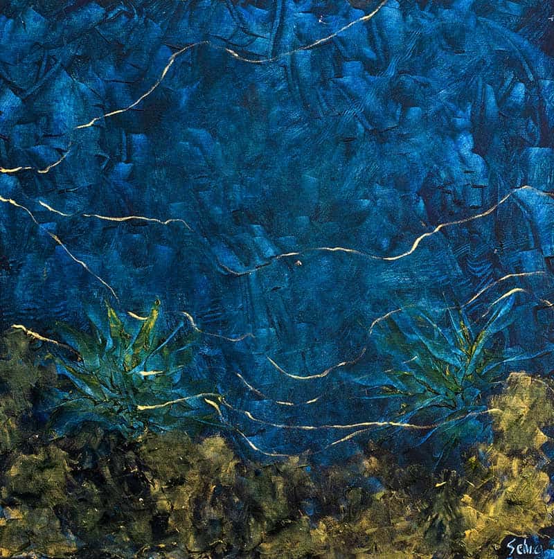 Healing Waters - Selva Ozelli.