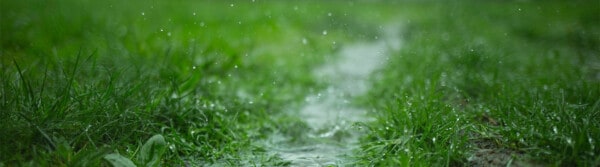 how is rain formed