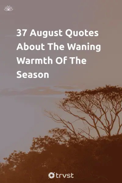 Pinterest Image for 37 August Quotes About The Waning Warmth Of The Season