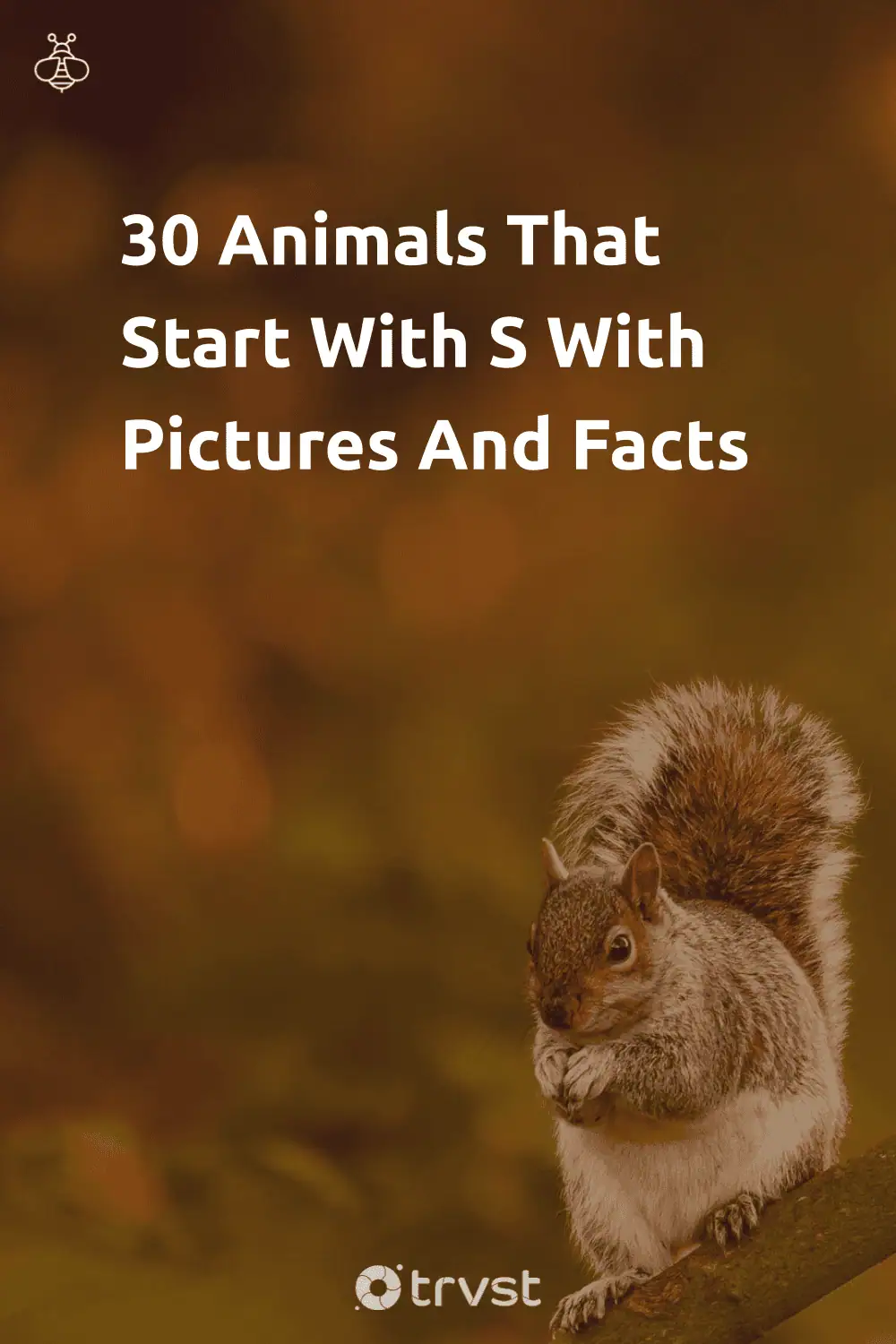 Pinterest Image for 30 Animals That Start With S With Pictures And Facts