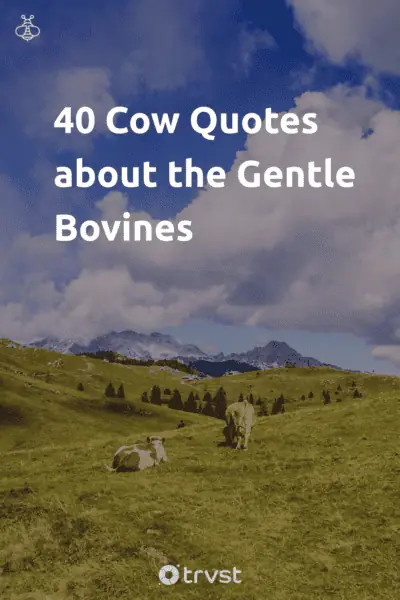 Pin Image Portrait 40 Cow Quotes about the Gentle Bovines