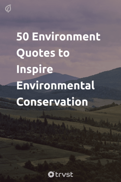 Pin Image Portrait 50 Environment Quotes to Inspire Environmental Conservation