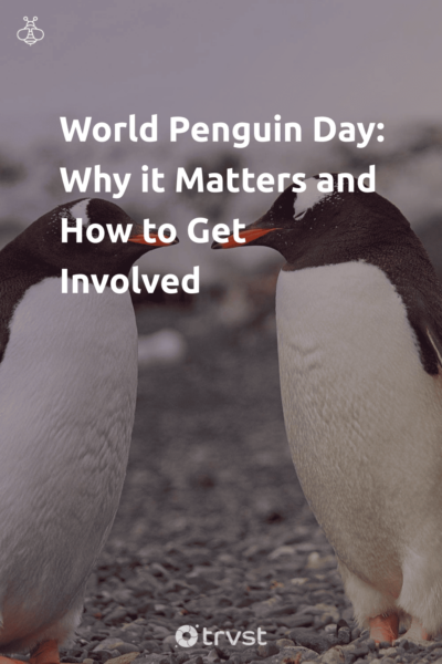 Pin Image Portrait World Penguin Day: Why it Matters and How to Get Involved