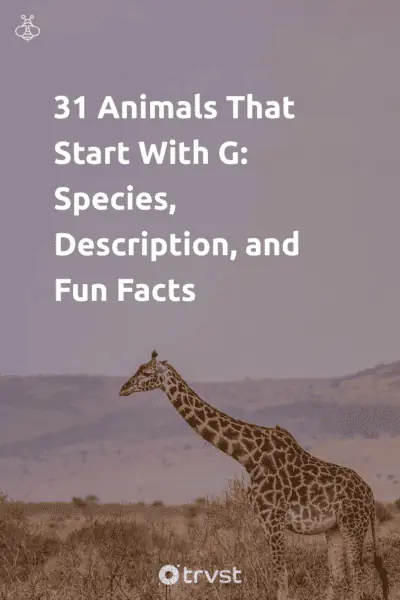 Pin Image Portrait 31 Animals That Start With G: Species, Description, and Fun Facts