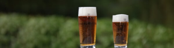 organic beer