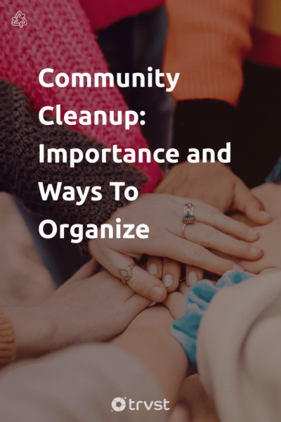 Pin Image Portrait Community Cleanup: Importance and Ways To Organize 
