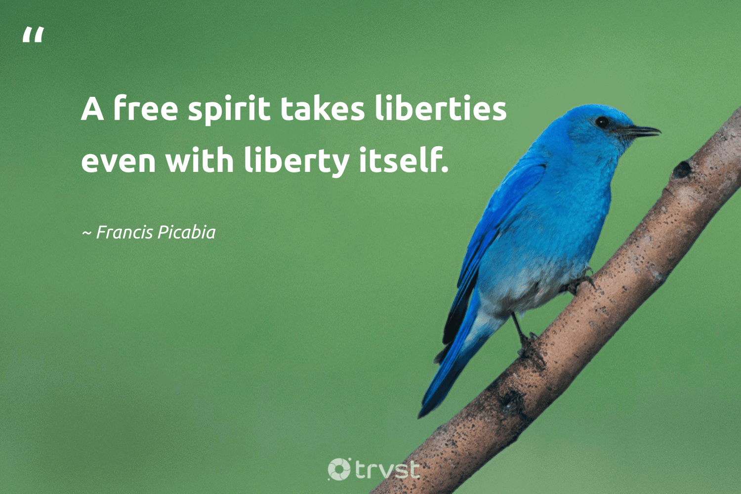 "A free spirit takes liberties even with liberty itself." -Francis Picabia #trvst #quotes #bethechange #thinkgreen #freespirit #free #spirit 