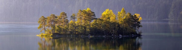 peace of mind quotes