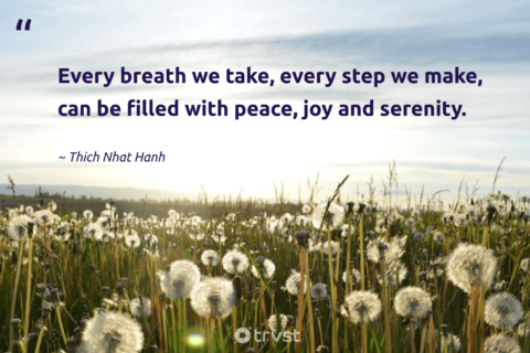 Peace of mind quote by Thich Nhat Hanh with serene background