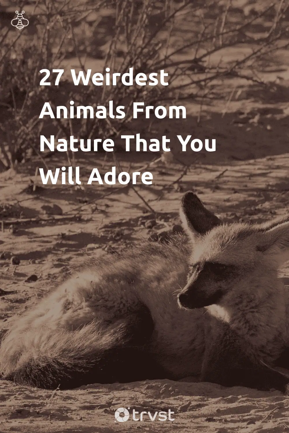Pinterest Image for 27 Weirdest Animals From Nature That You Will Adore
