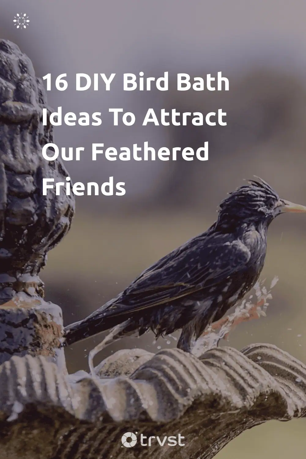 Pinterest Image for 16 DIY Bird Bath Ideas To Attract Our Feathered Friends