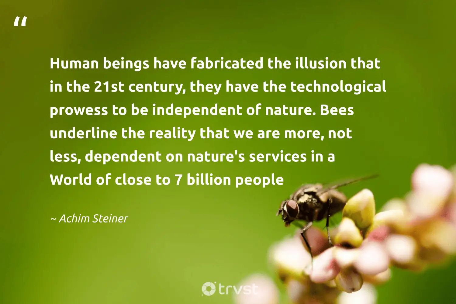"Human beings have fabricated the illusion that in the 21st century, they have the technological prowess to be independent of nature. Bees underline the reality that we are more, not less, dependent on nature's services in a world of close to 7 billion people" -Achim Steiner #trvst #quotes #takeaction #bethechange #bee #world #nature #people 