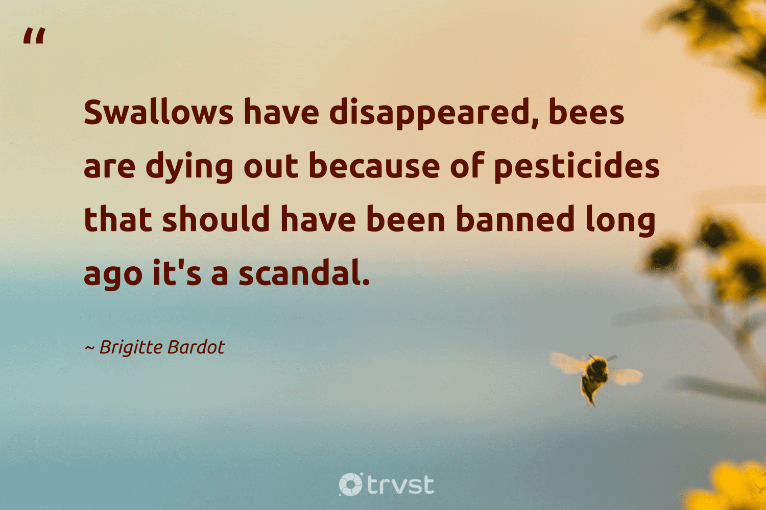 "Swallows have disappeared, bees are dying out because of pesticides that should have been banned long ago it's a scandal." -Brigitte Bardot #trvst #quotes #planetearthfirst #changetheworld #bee 