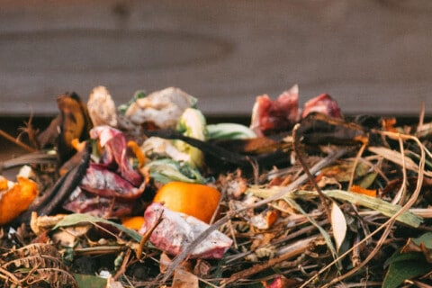 9 DIY Compost Bin Ideas To Boost Your Garden Growth
