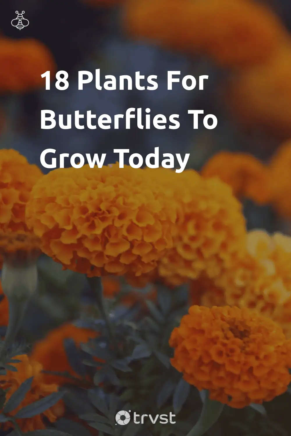 Pinterest Image for 18 Plants For Butterflies To Grow Today
