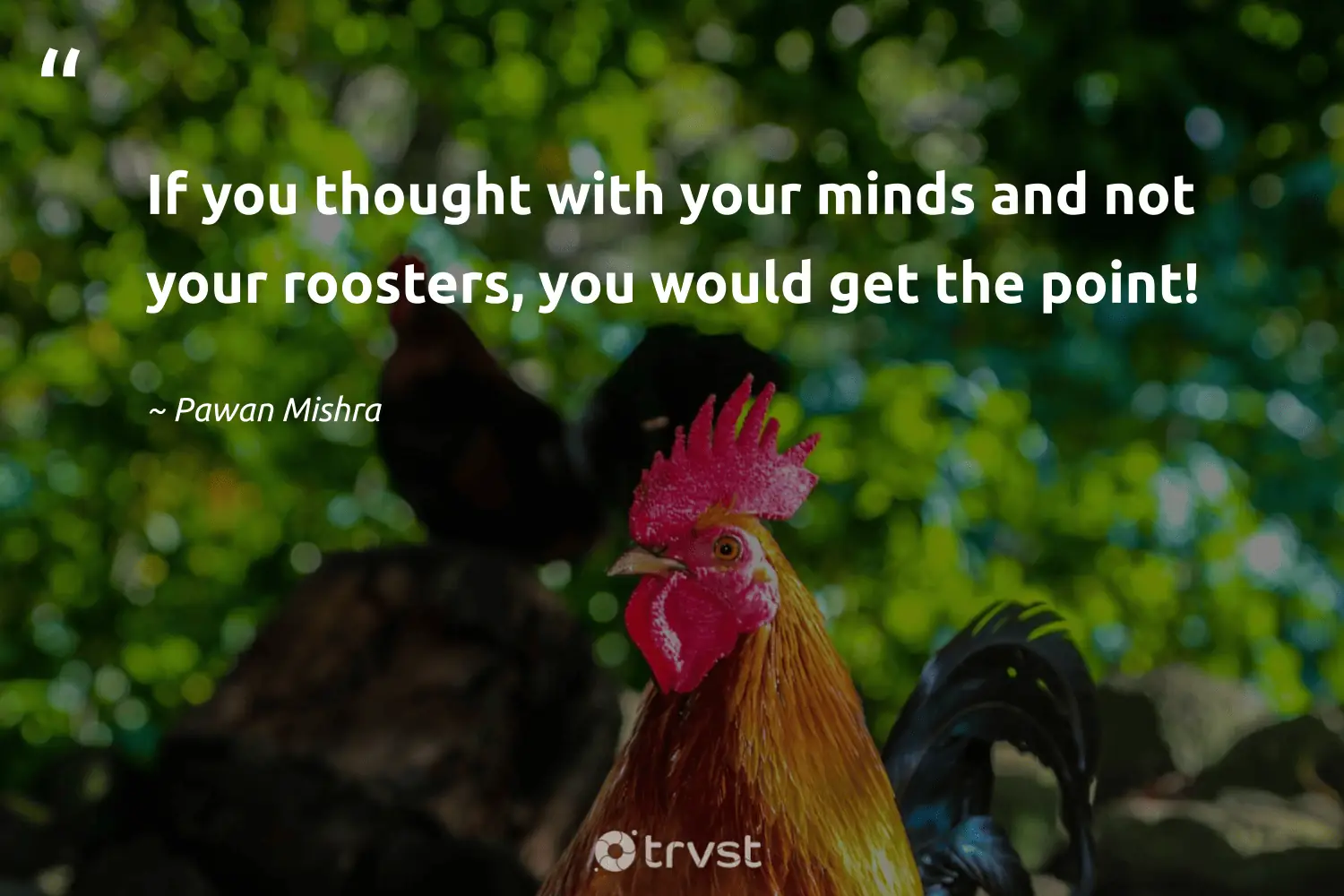 "If you thought with your minds and not your roosters, you would get the point!" -Pawan Mishra #trvst #quotes #beinspired #bethechange