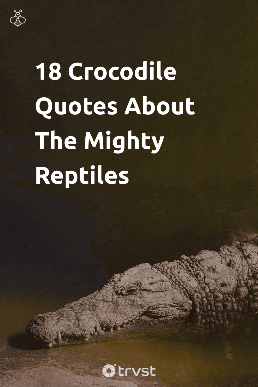 A crocodile lying still in the sand with the quote: 'Patience is the crocodile’s greatest strength.'
