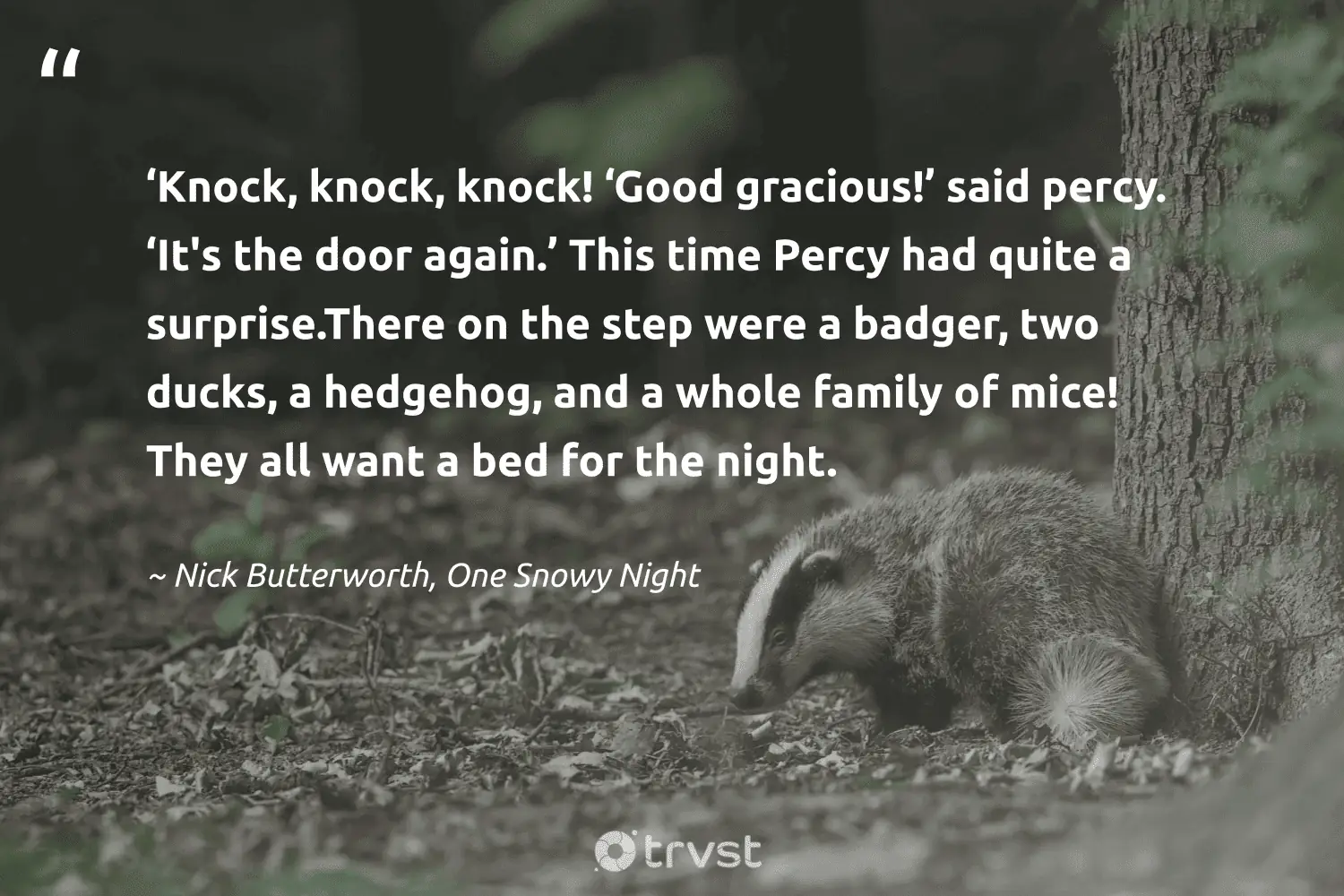 "‘Knock, knock, knock! ‘Good gracious!’ said percy. ‘It's the door again.’ This time Percy had quite a surprise.There on the step were a badger, two ducks, a hedgehog, and a whole family of mice! They all want a bed for the night." -Nick Butterworth, One Snowy Night #trvst #quotes #planetearthfirst #takeaction #badger 