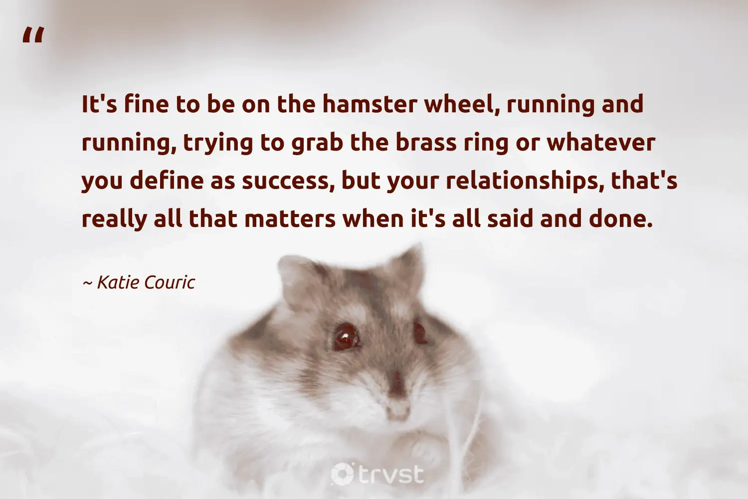 "It's fine to be on the hamster wheel, running and running, trying to grab the brass ring or whatever you define as success, but your relationships, that's really all that matters when it's all said and done." -Katie Couric #trvst #quotes #socialimpact #socialchange #hamster 