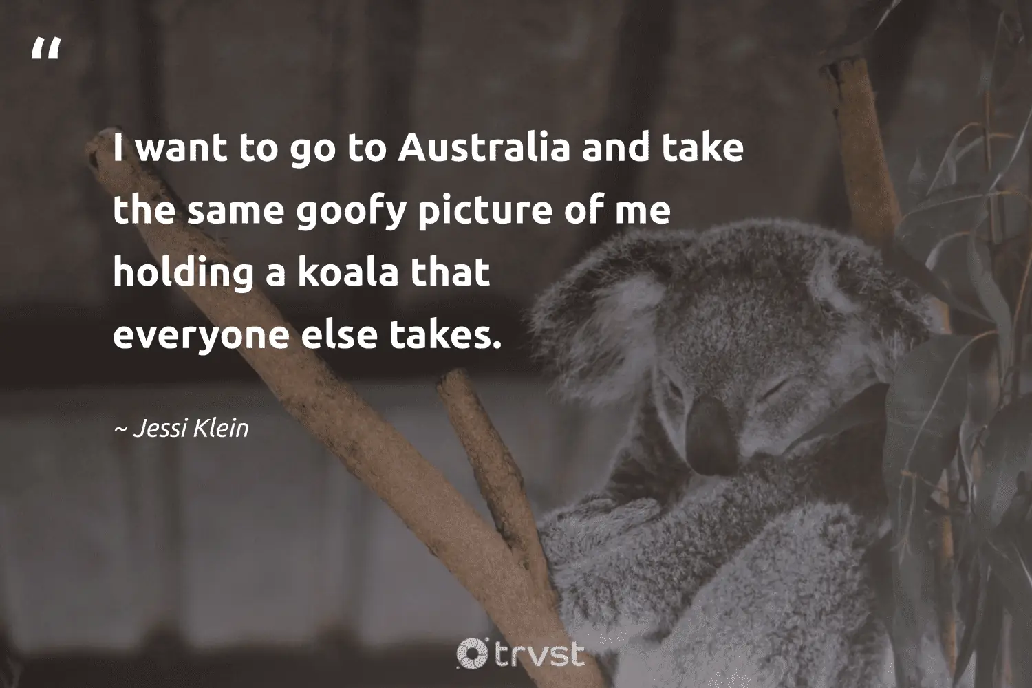 "I want to go to Australia and take the same goofy picture of me holding a koala that everyone else takes." -Jessi Klein #trvst #quotes #socialimpact #takeaction #koala 