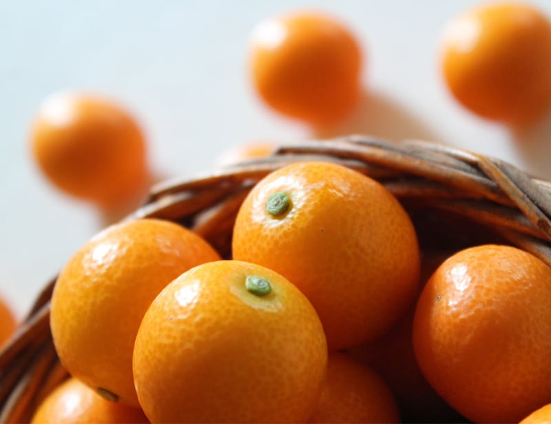 kumquat