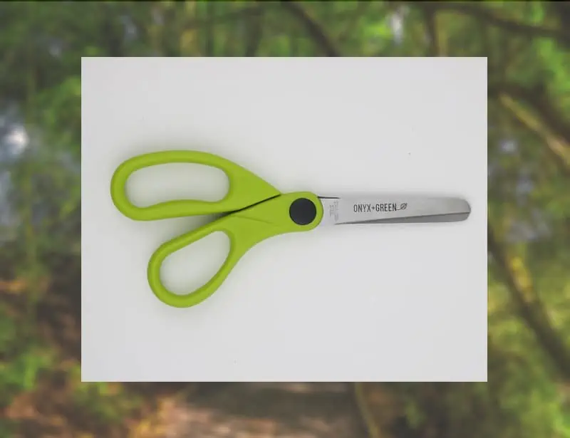 ONYX+ GREEN scissors