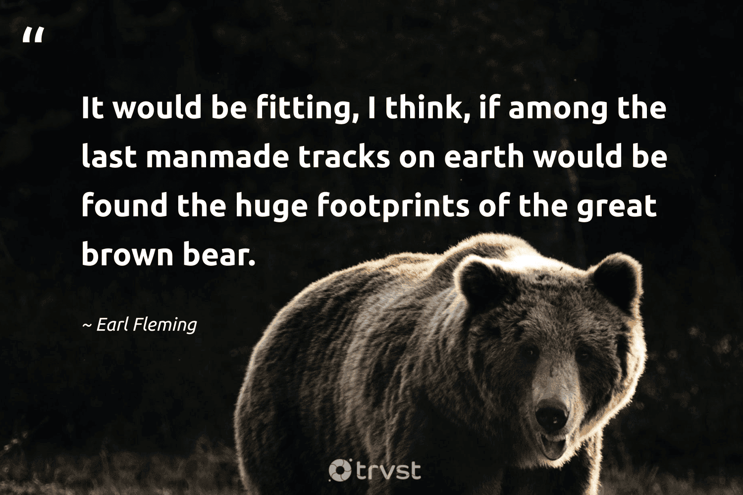 "It would be fitting, I think, if among the last manmade tracks on earth would be found the huge footprints of the great brown bear." -Earl Fleming #trvst #quotes #impact #planetearthfirst #bear #earth 