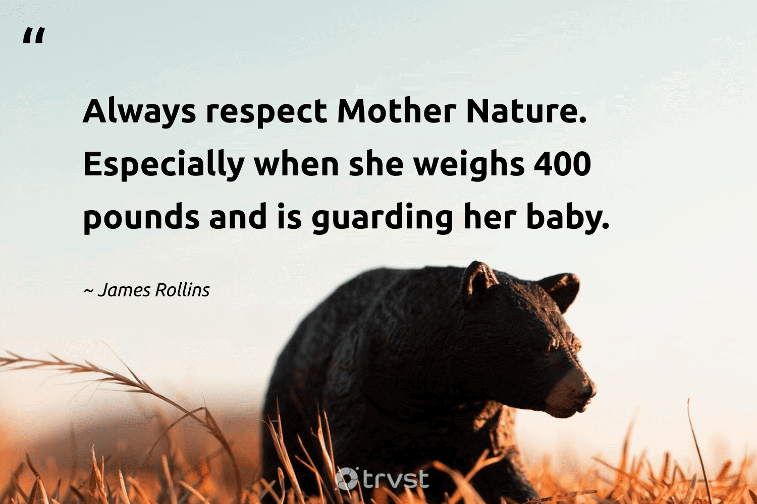 "Always respect Mother Nature. Especially when she weighs 400 pounds and is guarding her baby." -James Rollins #trvst #quotes #collectiveaction #beinspired #bear 