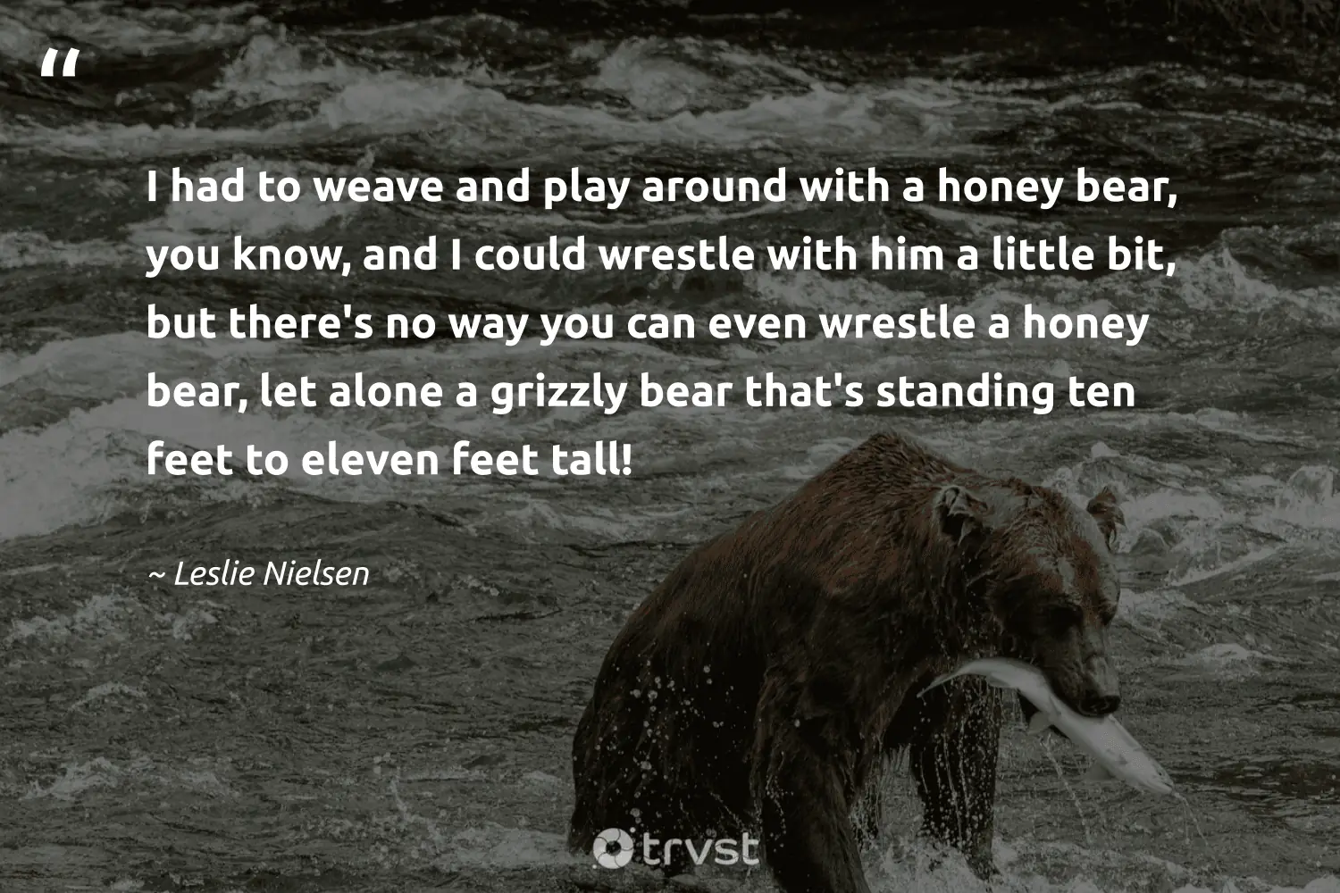 "I had to weave and play around with a honey bear, you know, and I could wrestle with him a little bit, but there's no way you can even wrestle a honey bear, let alone a grizzly bear that's standing ten feet to eleven feet tall!" -Leslie Nielsen #trvst #quotes #bethechange #socialchange #bear 