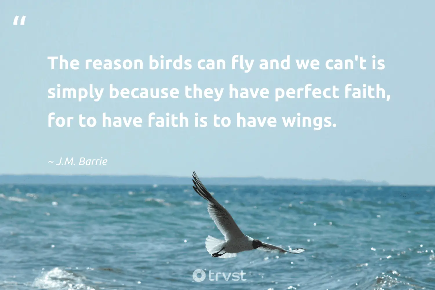 "The reason birds can fly and we can't is simply because they have perfect faith, for to have faith is to have wings." -J.M. Barrie #trvst #quotes #gogreen #ecoconscious #perfect #birds 