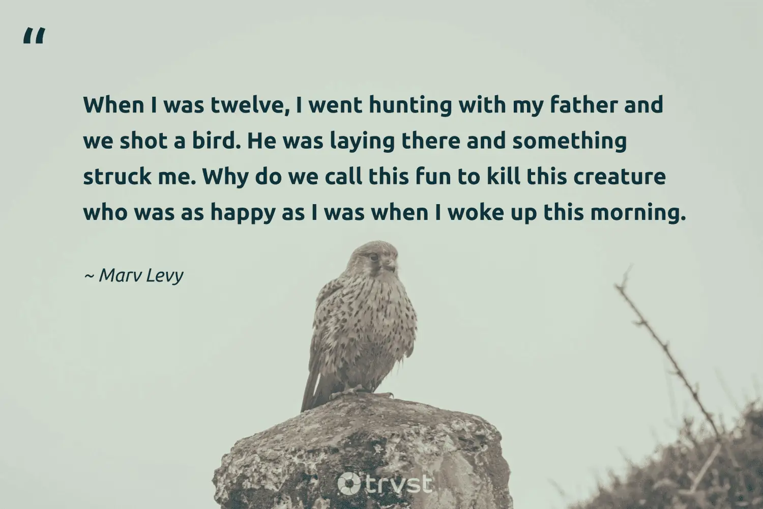 "When I was twelve, I went hunting with my father and we shot a bird. He was laying there and something struck me. Why do we call this fun to kill this creature who was as happy as I was when I woke up this morning." -Marv Levy #trvst #quotes #takeaction #planetearthfirst #happy #bird 