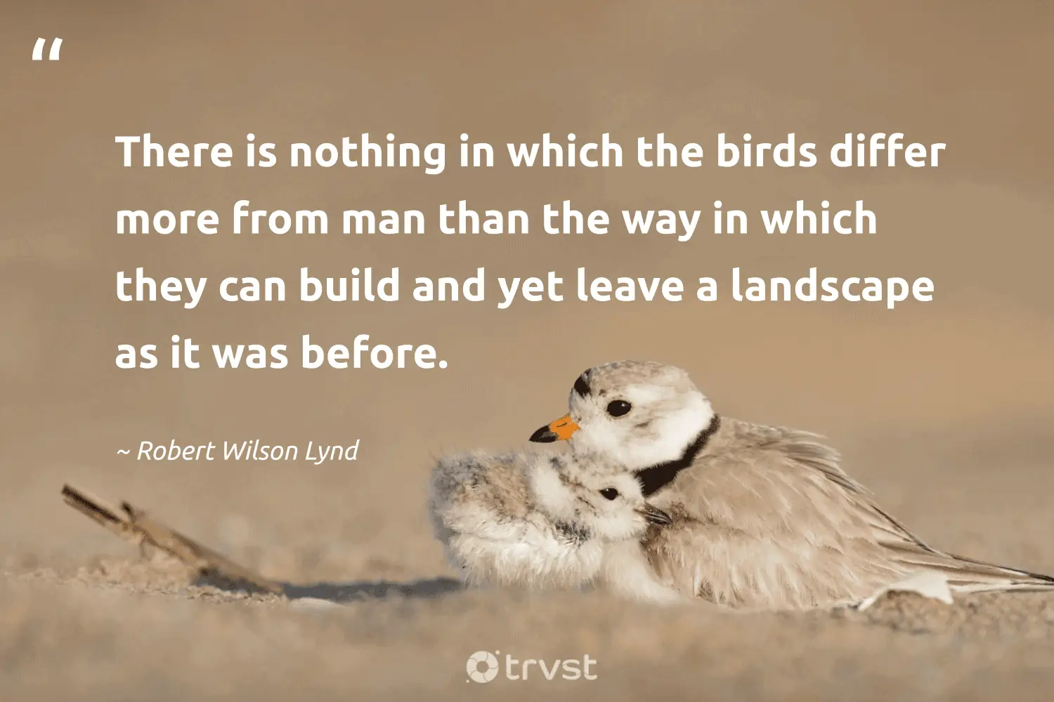 "There is nothing in which the birds differ more from man than the way in which they can build and yet leave a landscape as it was before." -Robert Wilson Lynd #trvst #quotes #takeaction #impact #birds 
