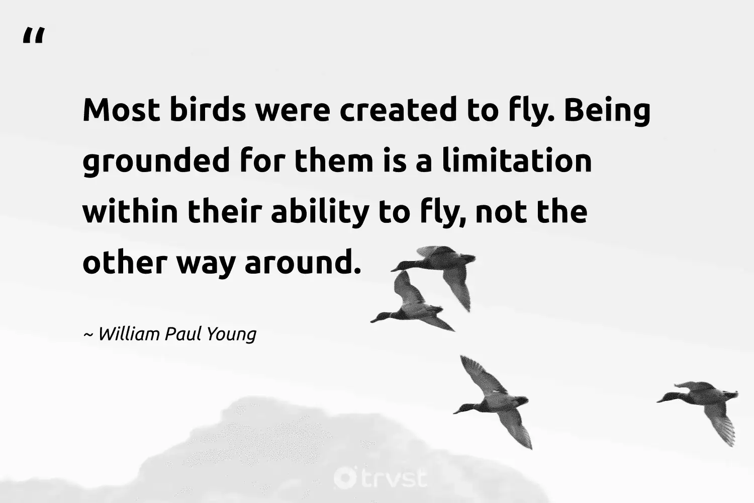 "Most birds were created to fly. Being grounded for them is a limitation within their ability to fly, not the other way around." -William Paul Young #trvst #quotes #beinspired #socialchange #birds 