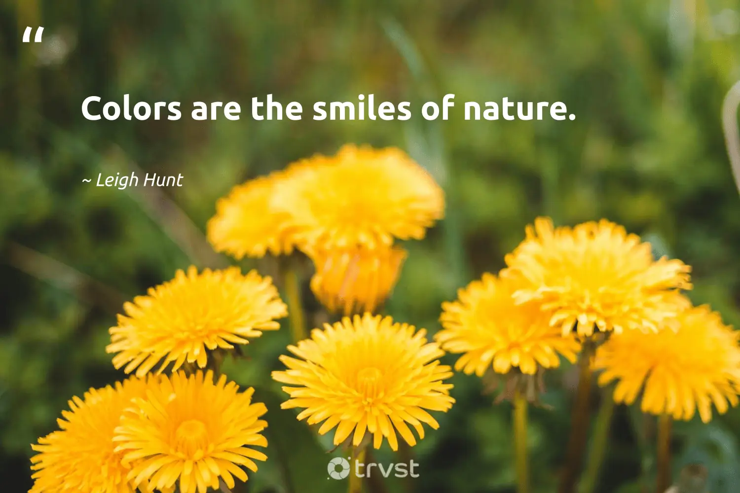 "Colors are the smiles of nature." -Leigh Hunt #trvst #quotes #thinkgreen #bethechange #color #nature