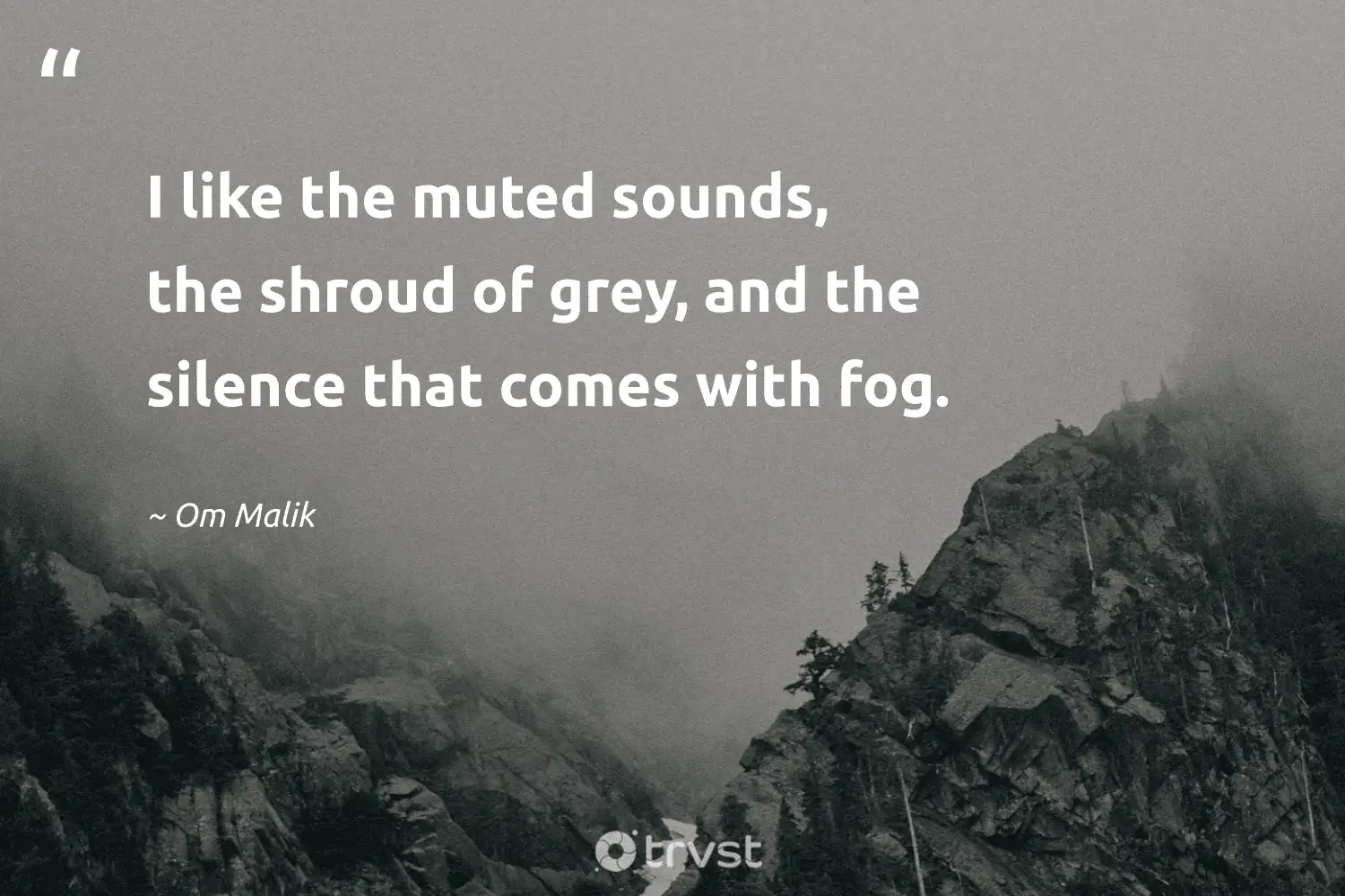 "I like the muted sounds, the shroud of grey, and the silence that comes with fog." -Om Malik #trvst #quotes #impact #collectiveaction #silence 