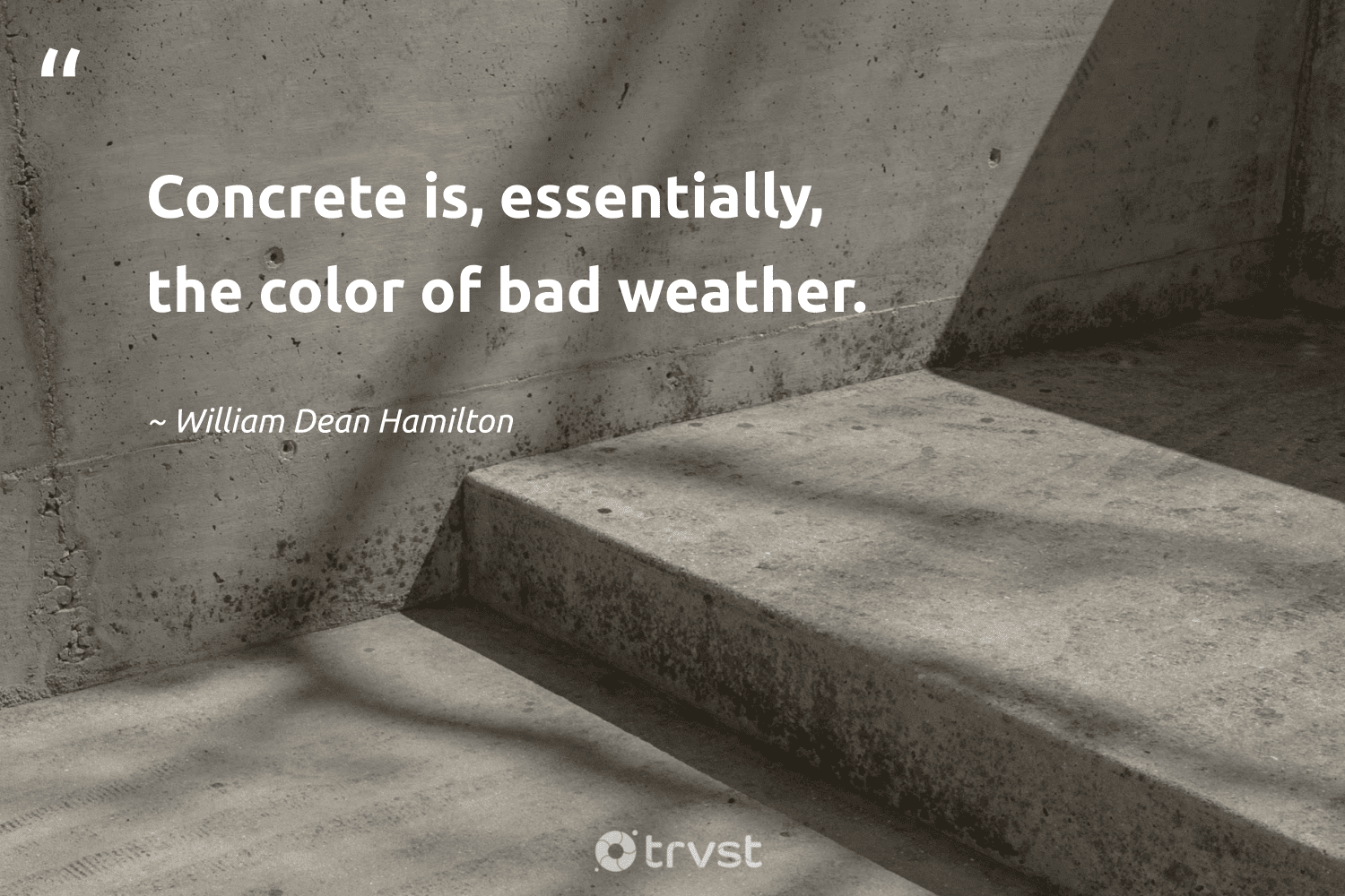"Concrete is, essentially, the color of bad weather." -William Dean Hamilton #trvst #quotes #collectiveaction #socialchange 