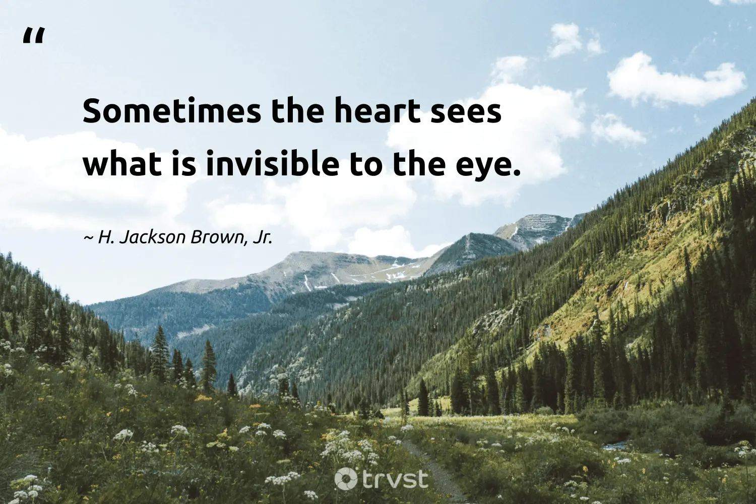 "Sometimes the heart sees what is invisible to the eye." -H. Jackson Brown, Jr. #trvst #quotes #socialimpact #beinspired