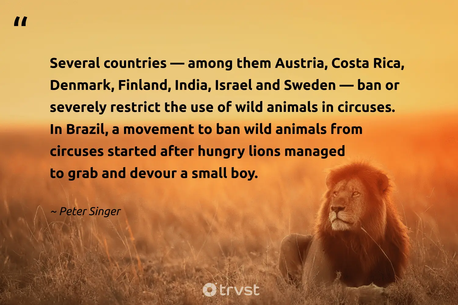 "Several countries — among them Austria, Costa Rica, Denmark, Finland, India, Israel and Sweden — ban or severely restrict the use of wild animals in circuses. In Brazil, a movement to ban wild animals from circuses started after hungry lions managed to grab and devour a small boy." -Peter Singer #trvst #quotes #gogreen #bethechange #wild