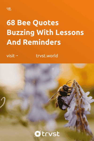 Pinterest Image for 68 Bee Quotes Buzzing With Lessons And Reminders