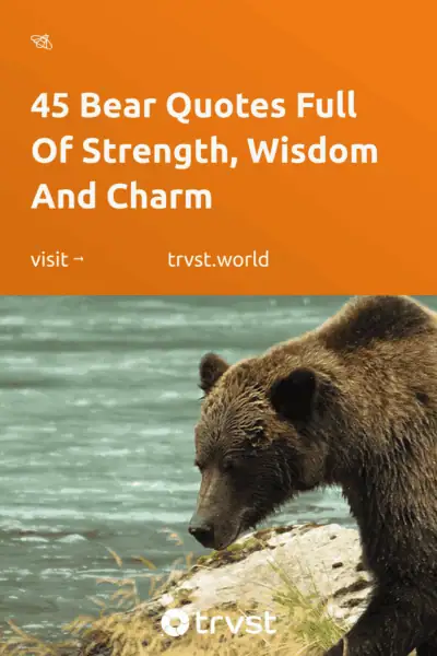 Pinterest Image for 45 Bear Quotes Full Of Strength, Wisdom And Charm