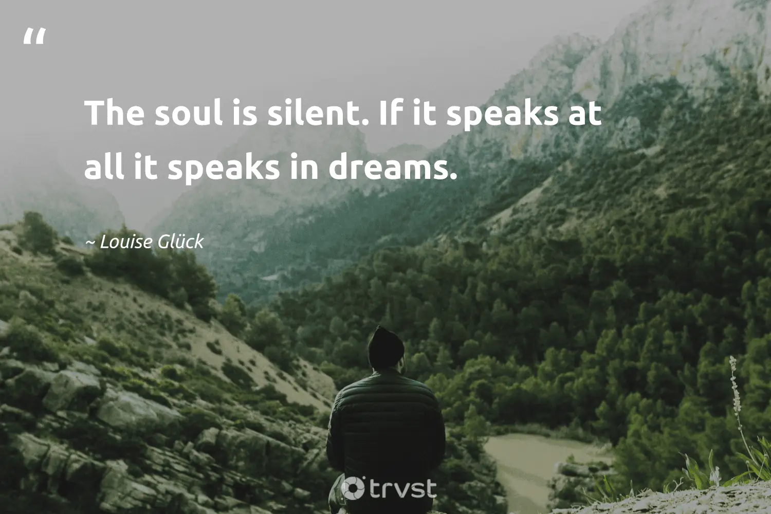 "The soul is silent. If it speaks at all it speaks in dreams." -Louise Glück #trvst #quotes #collectiveaction #socialchange #soul #silent 