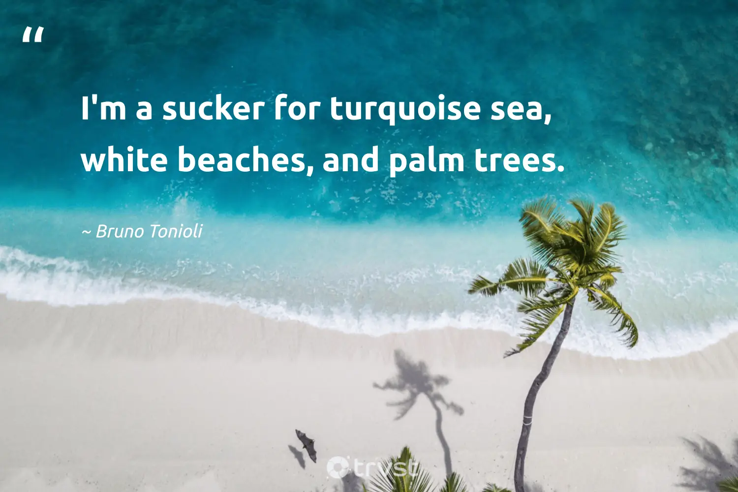 "I'm a sucker for turquoise sea, white beaches, and palm trees." -Bruno Tonioli #trvst #quotes #ecoconscious #collectiveaction #trees #beaches