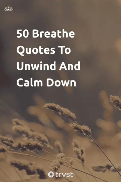 Pin Image Portrait 50 Breathe Quotes To Unwind And Calm Down