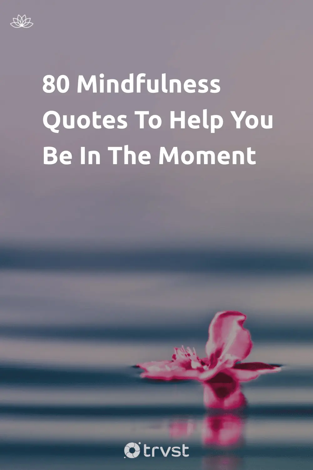 80 Mindfulness Quotes To Help You Be In The Moment