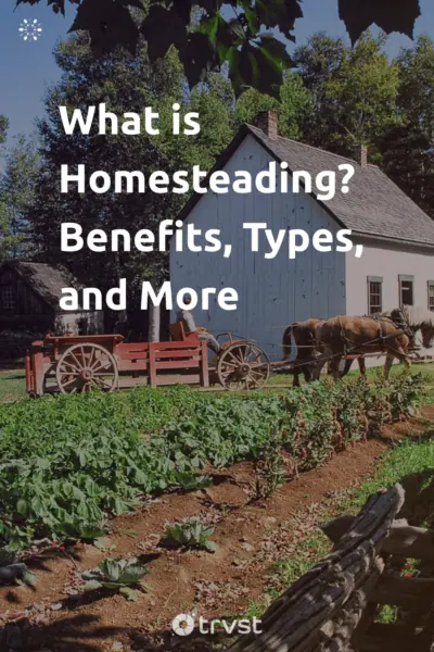 Pin Image Portrait What is Homesteading? Benefits, Types, and More