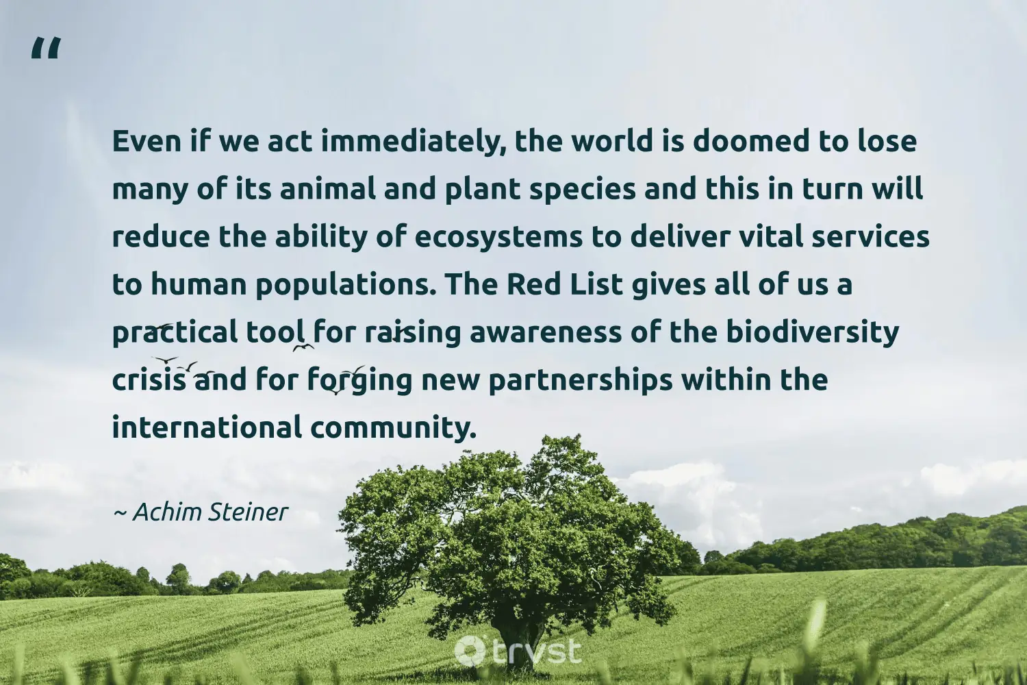 "Even if we act immediately, the world is doomed to lose many of its animal and plant species and this in turn will reduce the ability of ecosystems to deliver vital services to human populations. The Red List gives all of us a practical tool for raising awareness of the biodiversity crisis and for forging new partnerships within the international community." -Achim Steiner #trvst #quotes #bethechange #collectiveaction #animal #human #plant #world 