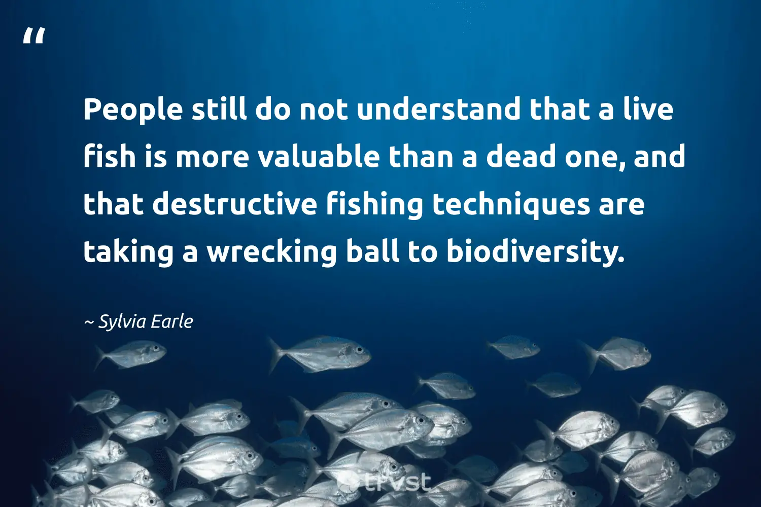 "People still do not understand that a live fish is more valuable than a dead one, and that destructive fishing techniques are taking a wrecking ball to biodiversity." -Sylvia Earle #trvst #quotes #ecoconscious #bethechange #fish 