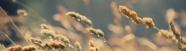 breathe quotes