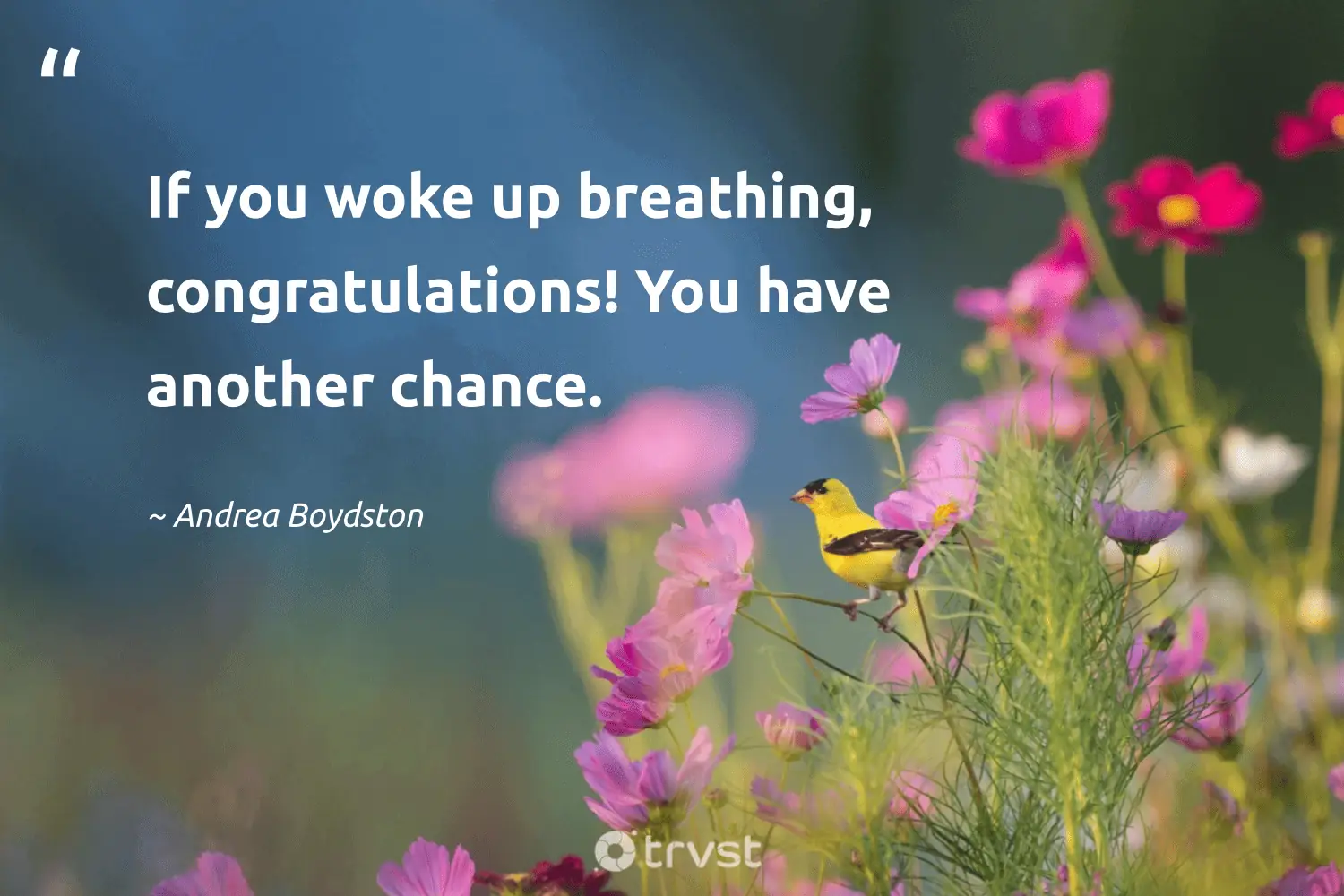 "If you woke up breathing, congratulations! You have another chance." -Andrea Boydston #trvst #quotes #socialimpact #changetheworld 